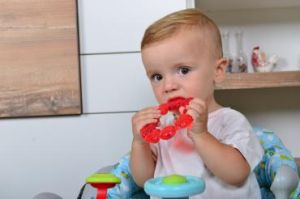 Cangaroo ЧЕСАЛКА ЗА ЗЪБИ SHAPES T2136 ЧЕРВЕН