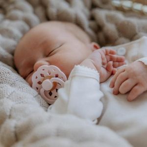 BIBS Boheme, Blossom/Dusky Lilac, 2 бр. Биберони 6-18 месеца/240104/